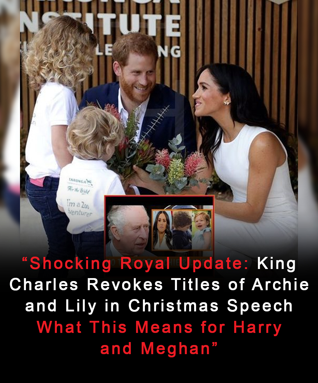 "Shocking Royal Update King Charles Revokes Titles of Archie and Lily